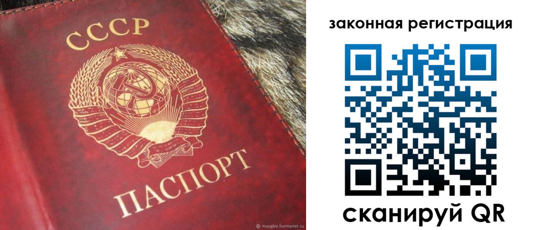прописка от собственника в Мытищах